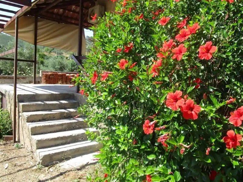 Countryside House Casa de hóspedes Perachora Exterior foto