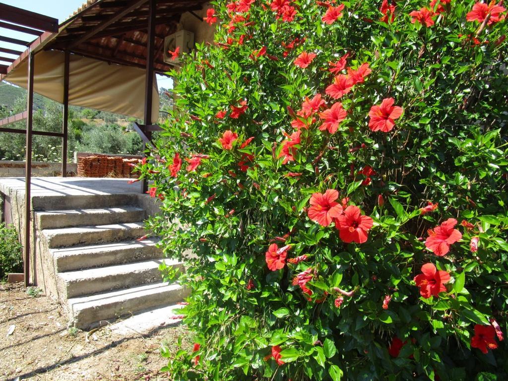 Countryside House Casa de hóspedes Perachora Exterior foto